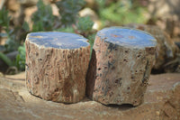 Polished Petrified Wood Branch Pieces x 2 From Gokwe, Zimbabwe