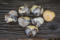 Polished Septerye Hearts x 8 From Mahajanga, Madagascar