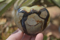 Polished Septerye Hearts x 8 From Mahajanga, Madagascar