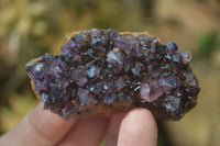 Natural Amethystos Amethyst Plates x 12 From Kwaggafontein, South Africa