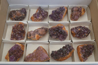 Natural Amethystos Amethyst Plates x 12 From Kwaggafontein, South Africa