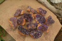 Natural Amethystos Amethyst Plates x 12 From Kwaggafontein, South Africa