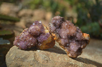 Natural Amethystos Amethyst Plates x 12 From Kwaggafontein, South Africa