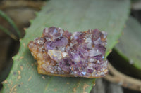 Natural Amethystos Amethyst Plates x 12 From Kwaggafontein, South Africa