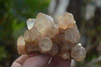 Natural Smokey Quartz Clusters x 4 From Luena, Congo