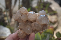 Natural Smokey Quartz Clusters x 4 From Luena, Congo