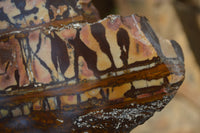 Polished On One Side Nguni Jasper Specimen x 1 From Prieska, South Africa