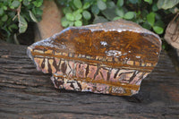 Polished On One Side Nguni Jasper Specimen x 1 From Prieska, South Africa