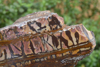 Polished On One Side Nguni Jasper Specimen x 1 From Prieska, South Africa