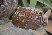 Polished On One Side Nguni Jasper Specimen x 1 From Prieska, South Africa