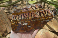 Polished On One Side Nguni Jasper Specimen x 1 From Prieska, South Africa