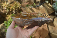 Polished On One Side Nguni Jasper Specimen x 1 From Prieska, South Africa