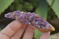 Natural Amethystos Amethyst Plates x 24 From Kwaggafontein, South Africa