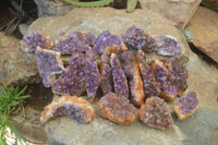 Natural Amethystos Amethyst Plates x 24 From Kwaggafontein, South Africa