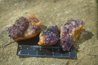 Natural Amethystos Amethyst Plates x 24 From Kwaggafontein, South Africa