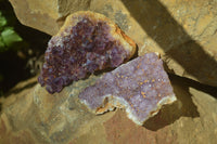 Natural Amethystos Amethyst Plates x 24 From Kwaggafontein, South Africa