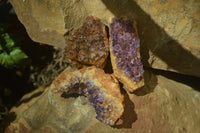 Natural Amethystos Amethyst Plates x 24 From Kwaggafontein, South Africa