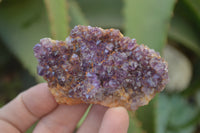 Natural Amethystos Amethyst Plates x 24 From Kwaggafontein, South Africa