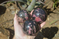 Polished Rhodonite Sphere-Balls x 4 From Ambindavato, Madagascar