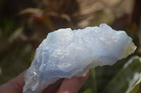 Natural Etched Blue Chalcedony Specimens x 12 From Nsanje, Malawi