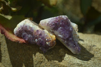 Natural Amethystos Amethyst Specimens x 35 From Kwaggafontein, South Africa