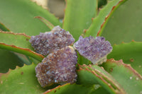 Natural Amethystos Amethyst Specimens x 35 From Kwaggafontein, South Africa