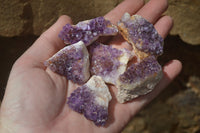 Natural Amethystos Amethyst Specimens x 35 From Kwaggafontein, South Africa