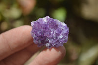 Natural Amethystos Amethyst Specimens x 35 From Kwaggafontein, South Africa