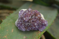 Natural Amethystos Amethyst Specimens x 35 From Kwaggafontein, South Africa