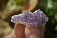 Natural Amethystos Amethyst Specimens x 35 From Kwaggafontein, South Africa