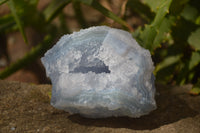 Natural Etched Blue Chalcedony Specimens x  6 From Nsanje, Malawi