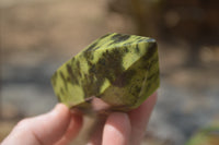 Polished Leopard Stone Standing Free Forms x 6 From Nyanga, Zimbabwe