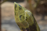 Polished Leopard Stone Standing Free Forms x 6 From Nyanga, Zimbabwe