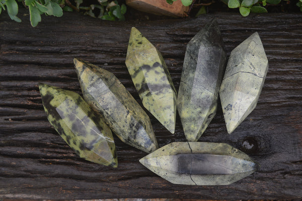 Polished Leopard Stone Standing Free Forms x 6 From Nyanga, Zimbabwe