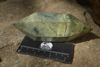 Polished Leopard Stone Standing Free Forms x 6 From Nyanga, Zimbabwe