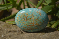 Polished Amazonite Palm Stones x 8 From Zimbabwe