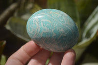 Polished Amazonite Palm Stones x 8 From Zimbabwe