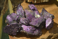 Natural Metallic Purpurite Cobbed Specimens x 12 From Erongo, Namibia