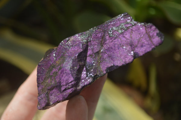 Natural Metallic Purpurite Cobbed Specimens x 12 From Erongo, Namibia