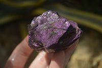 Natural Metallic Purpurite Cobbed Specimens x 12 From Erongo, Namibia