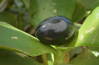 Polished Black Basalt Points & Eggs x 6 From Antsirabe, Madagascar