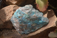 Natural Shattuckite Specimens x 4 From Kaokoveld, Namibia