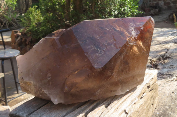 Natural Etched Smokey Quartz Crystal Specimen x 1 From Malawi