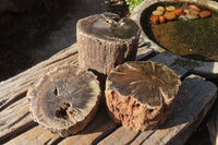 Polished Petrified Wood Branch Pieces x 3 From Gokwe, Zimbabwe