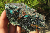 Natural Libethenite Crystals On Dolomite Matrix Specimens x 3 From Shituru, Congo