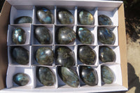 Polished Labradorite Palm Stones x 20 From Tulear, Madagascar