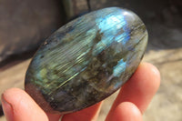 Polished Labradorite Palm Stones x 20 From Tulear, Madagascar