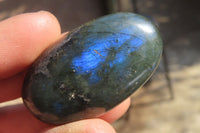 Polished Labradorite Palm Stones x 20 From Tulear, Madagascar