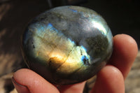 Polished Labradorite Palm Stones x 20 From Tulear, Madagascar