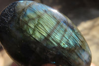 Polished Labradorite Palm Stones x 20 From Tulear, Madagascar